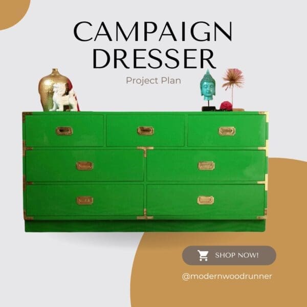 Campaign Dresser Project Plan